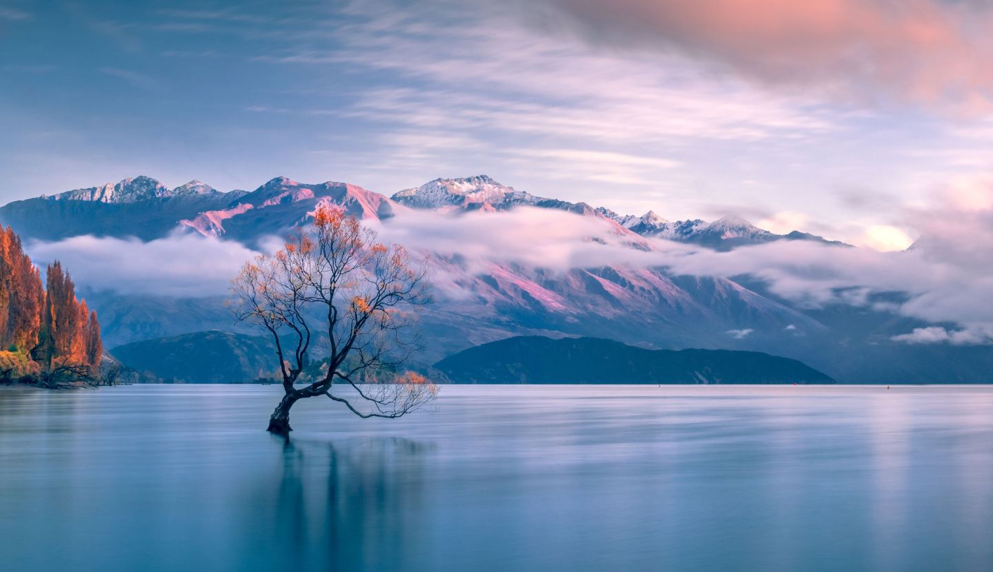 Wanaka's Real Estate Agent LJ Hooker Wanaka